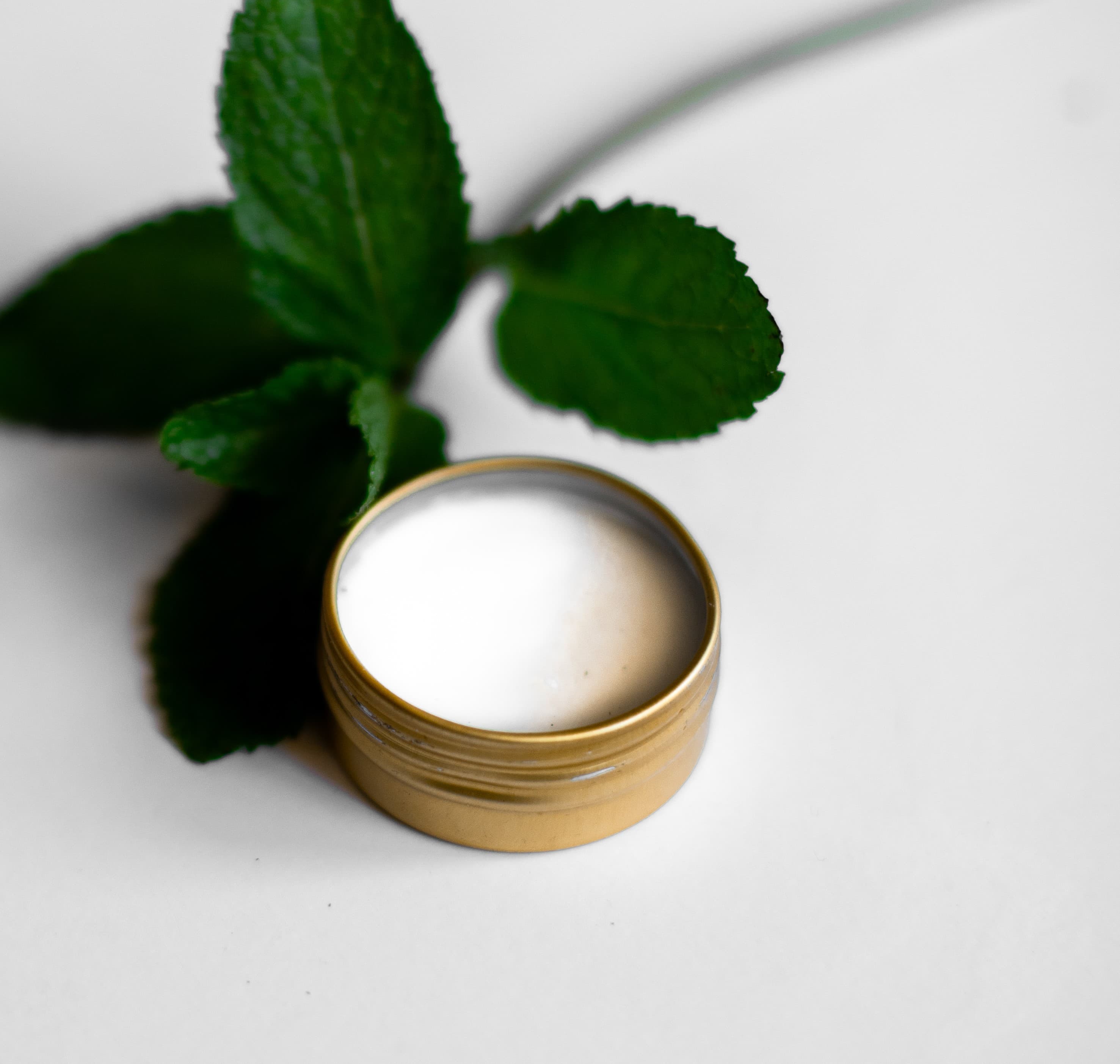 Mint lip balm